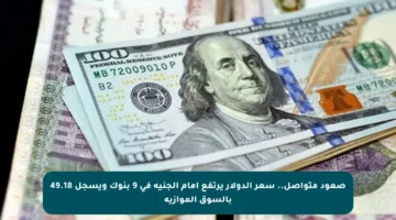 صعود متواصل.. سعر الدولار يرتفع أمام الجنيه في 9 بنوك ويسجل 49.18 بالسوق الموازية